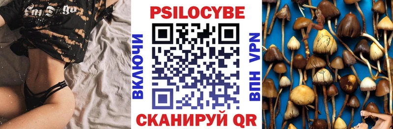 Галлюциногенные грибы мицелий  Новосибирск 